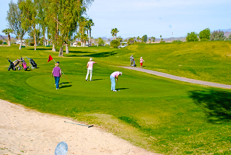 Havasu Springs Resort 9 Hole Executive Golf Course