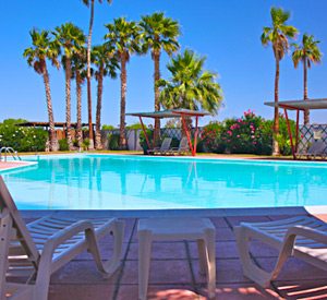 Havasu Springs Resort Heated Swimming Pool Havasu Springs Resort Heated Swimming Pool